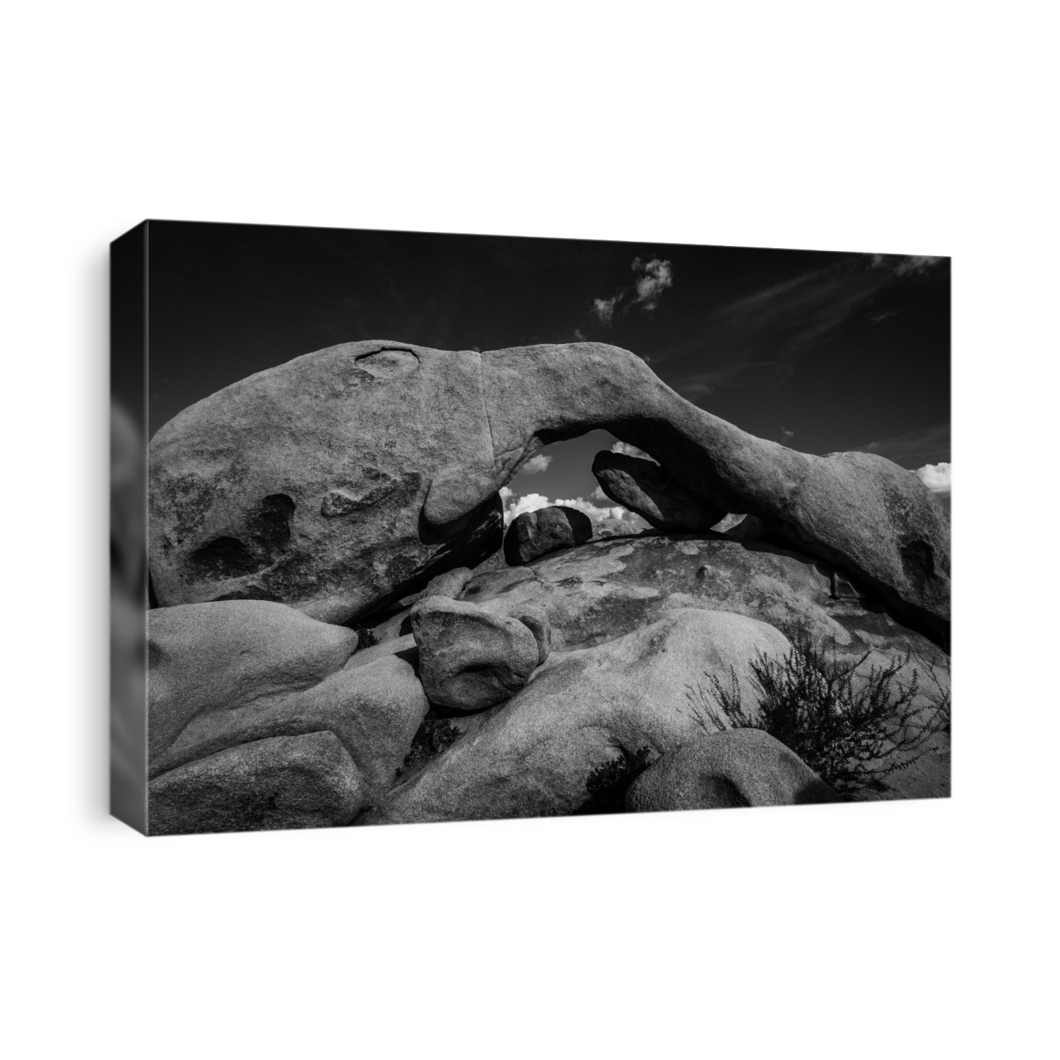 Black and white image of Arch Rock in Joshua Tree National Park