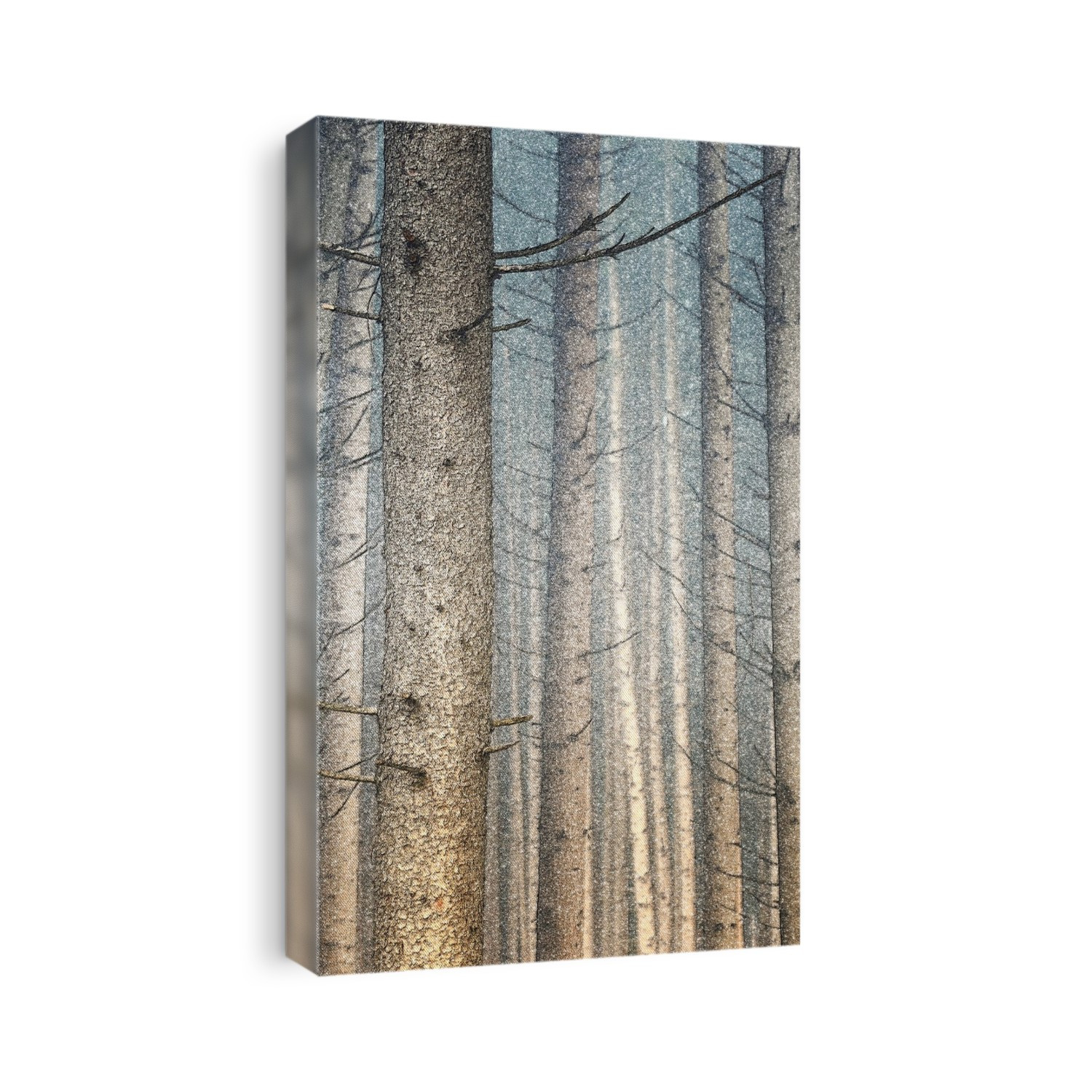 Trees