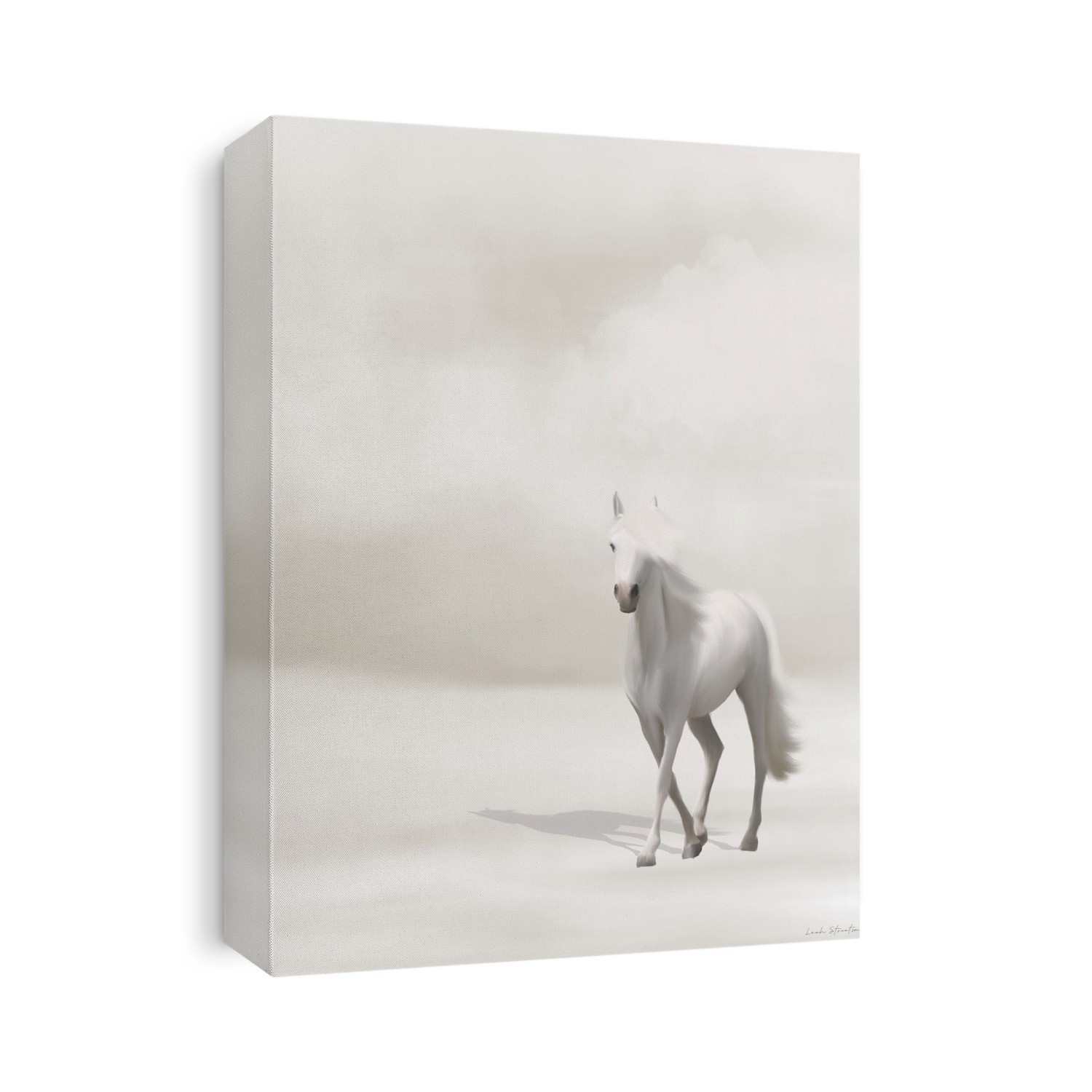 Horse on the Beach