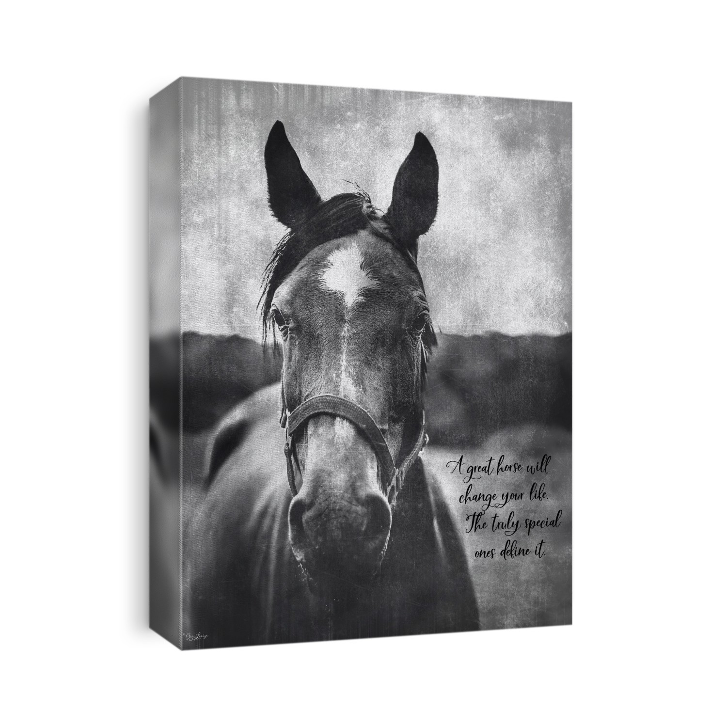 Horse sentiments