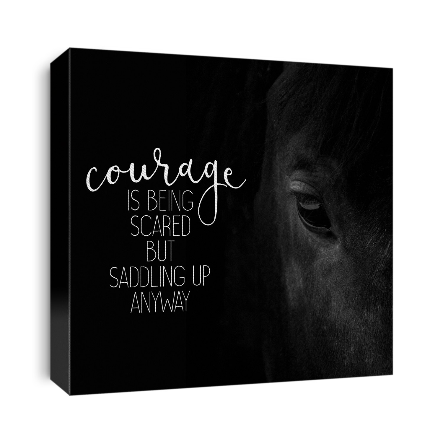 Horse sentiments