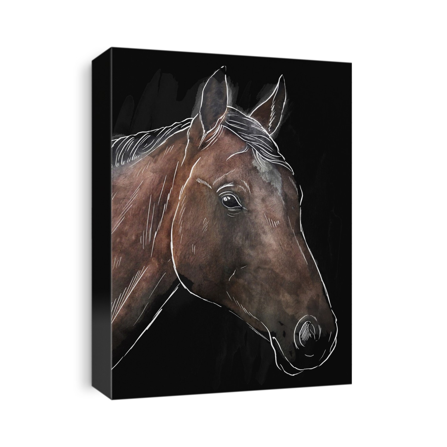 Illustrated Horses sketch
