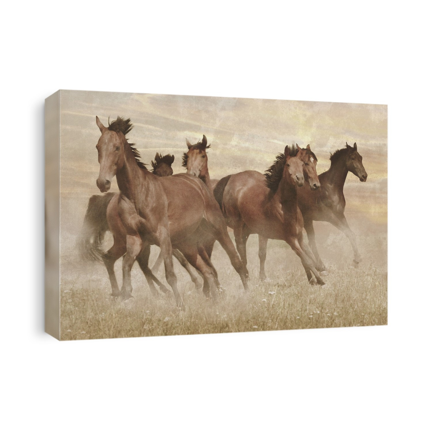 Running free on land