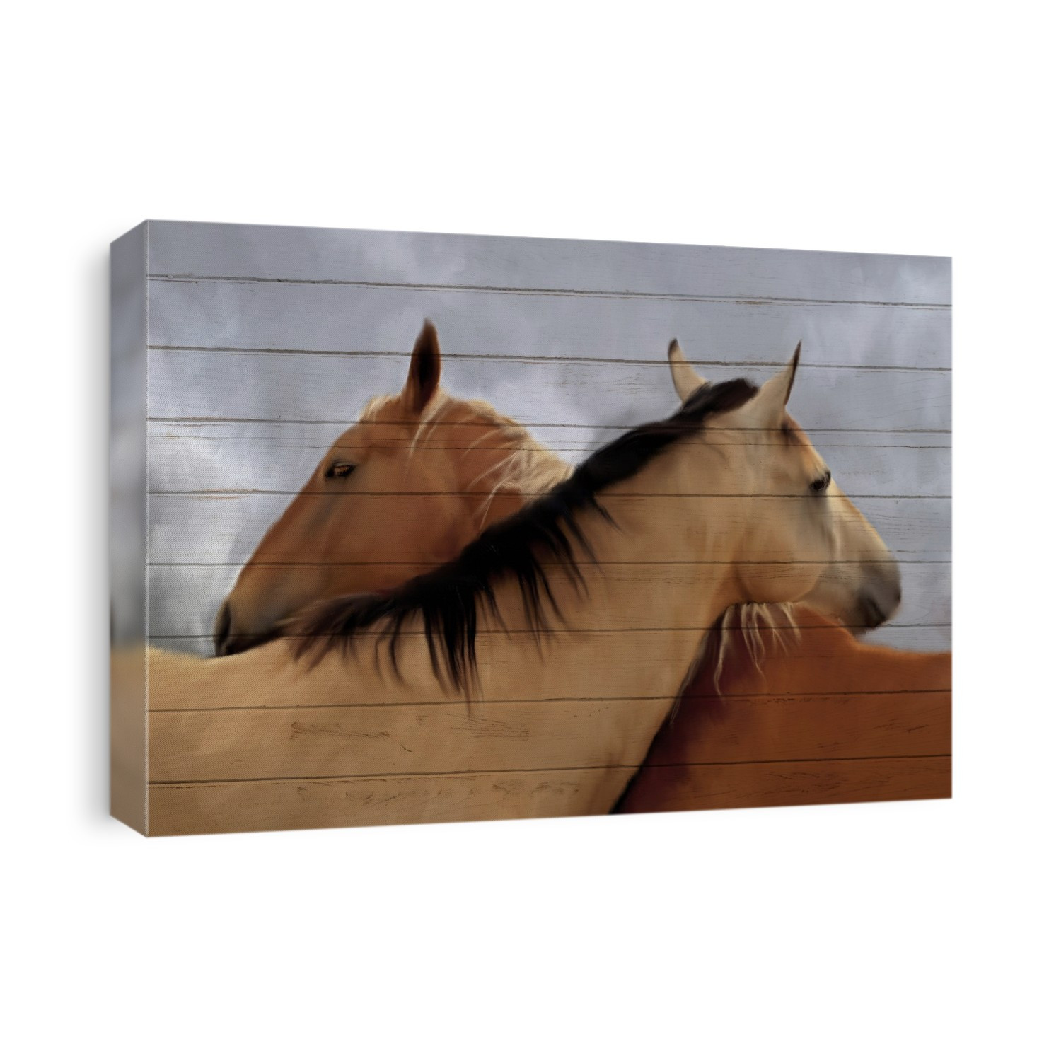 Horse cuddles