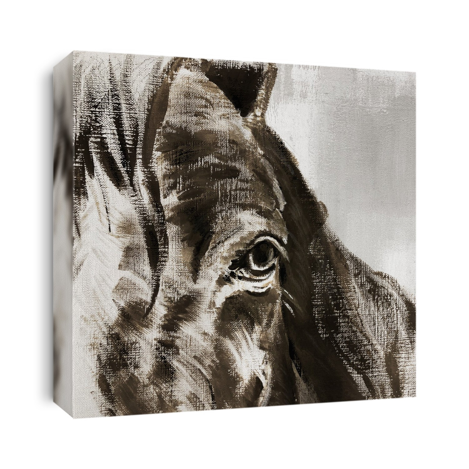 One eye stare horse