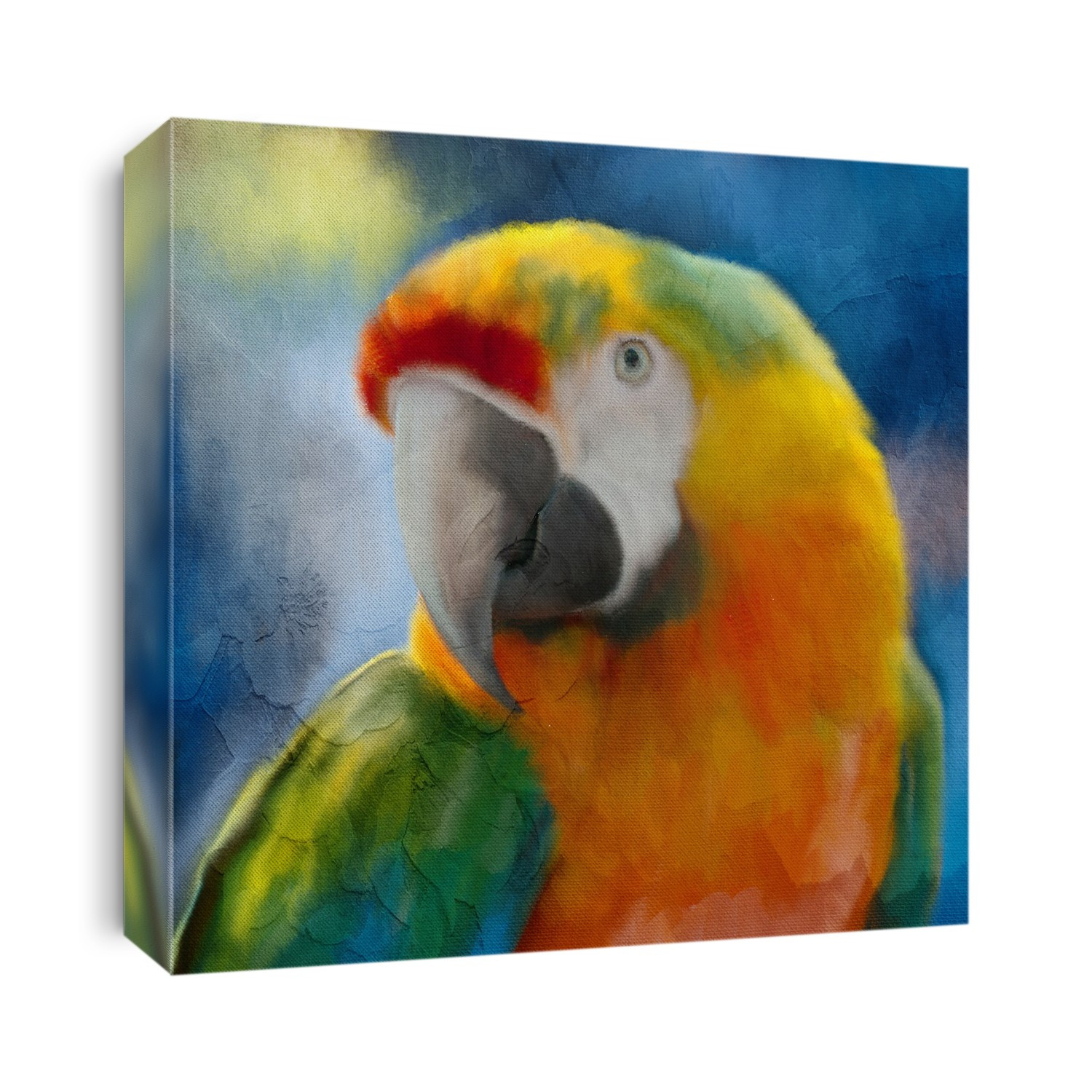 Birds
