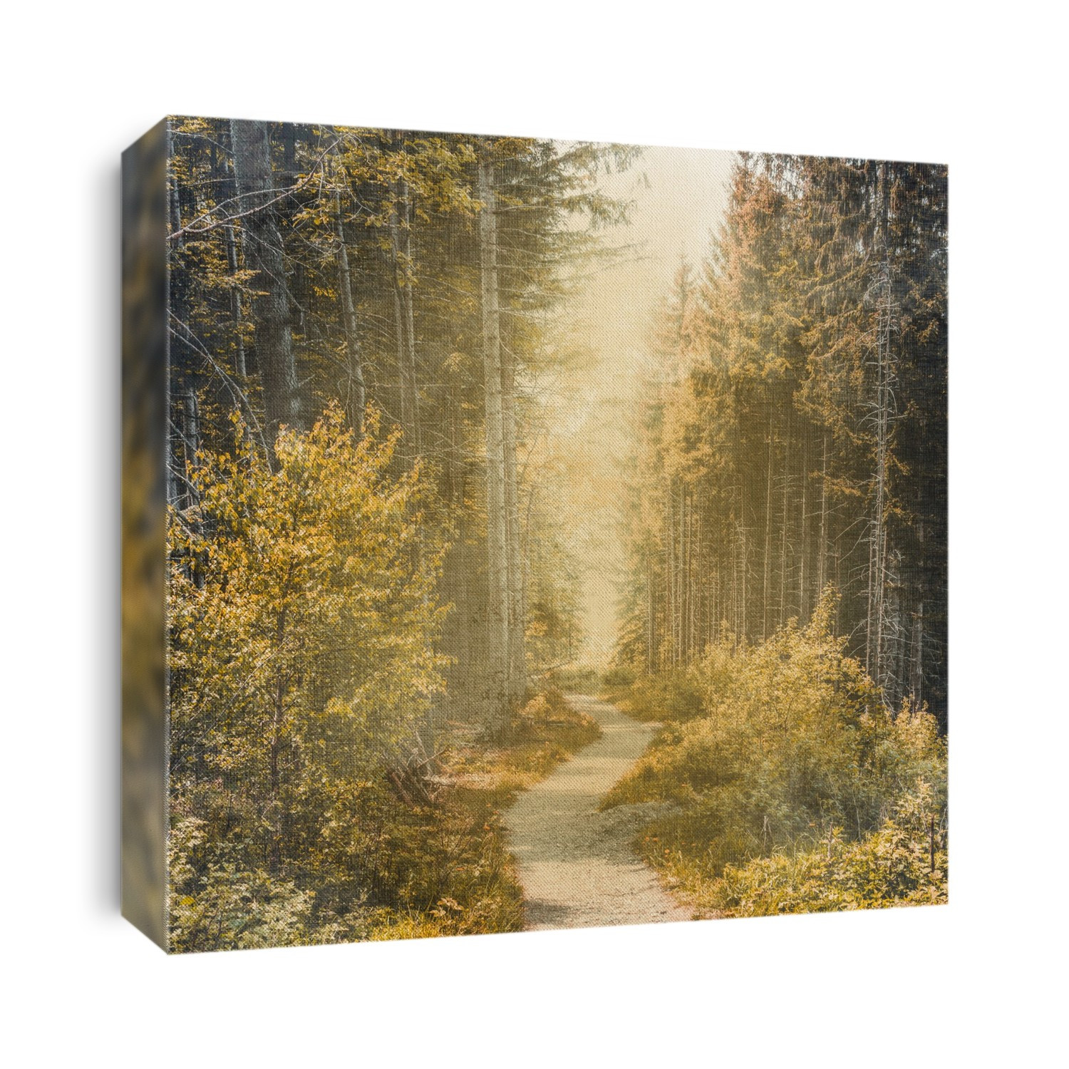 Trees
