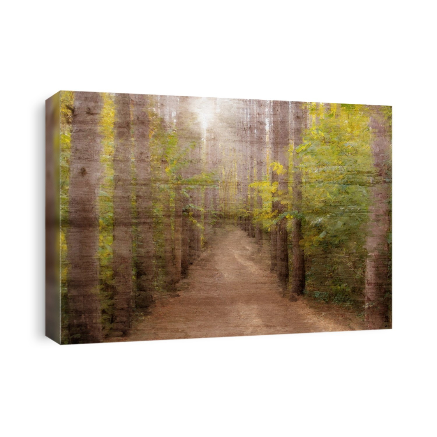 Trees