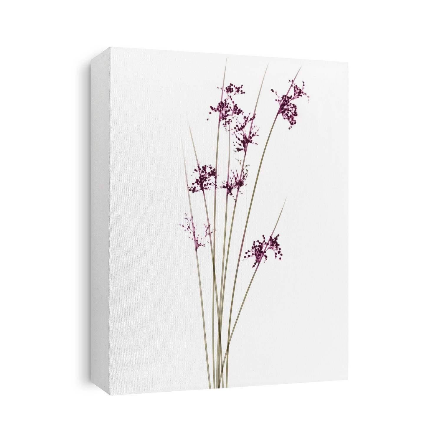 Xray Floral