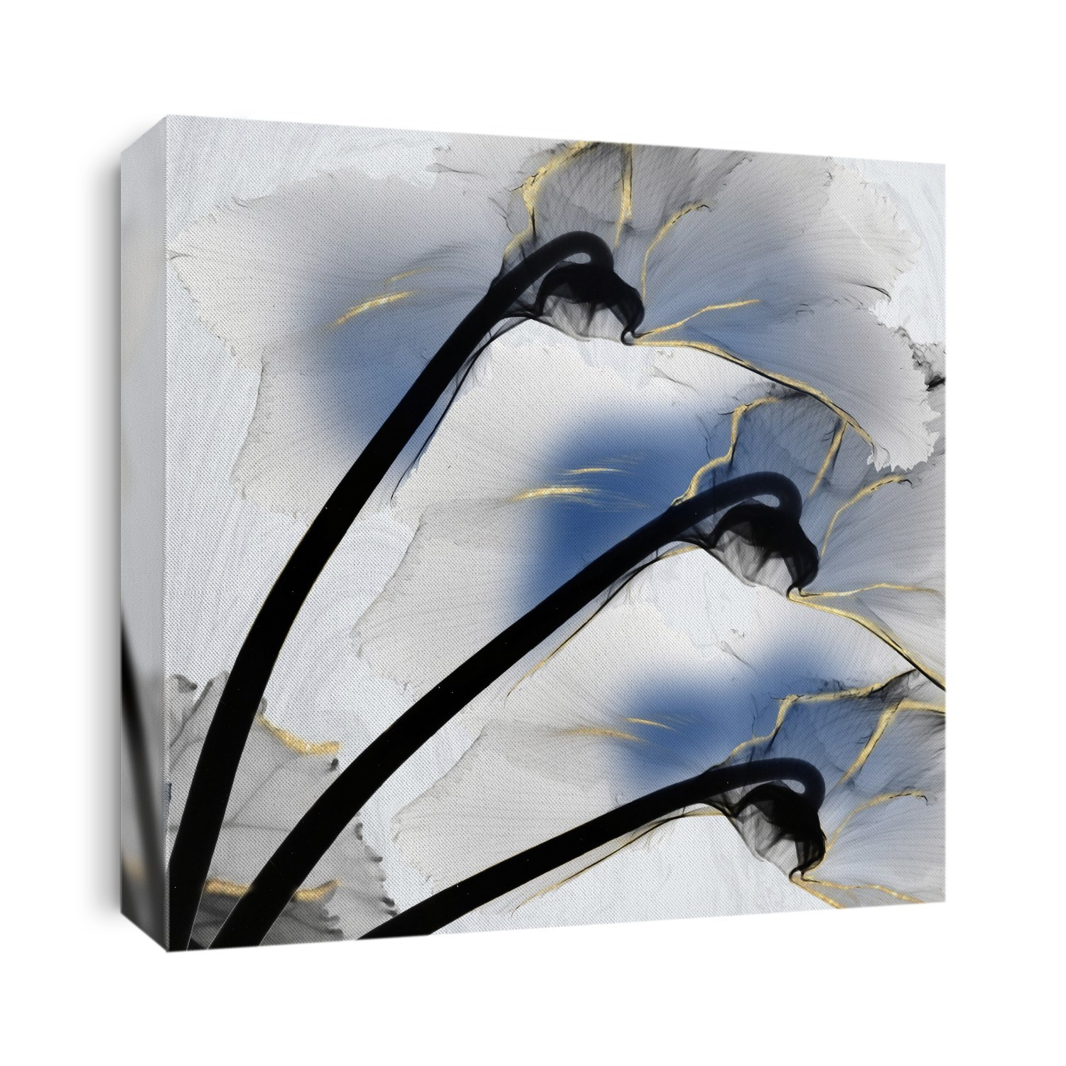 X-Ray