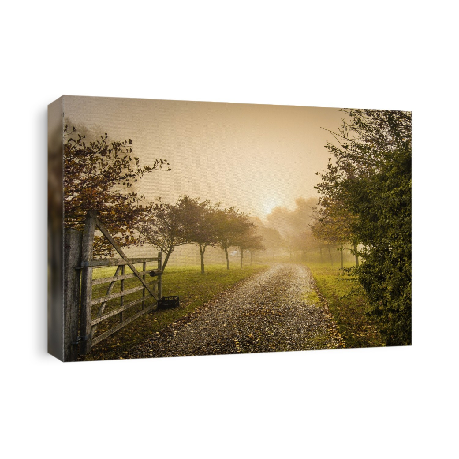 A misty sunrise at a farmhouse in Suffolk.