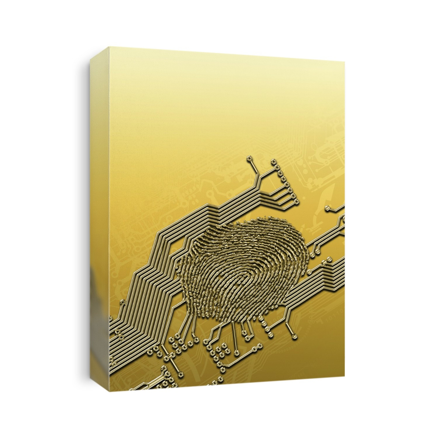 Biometric security, computer artwork.
