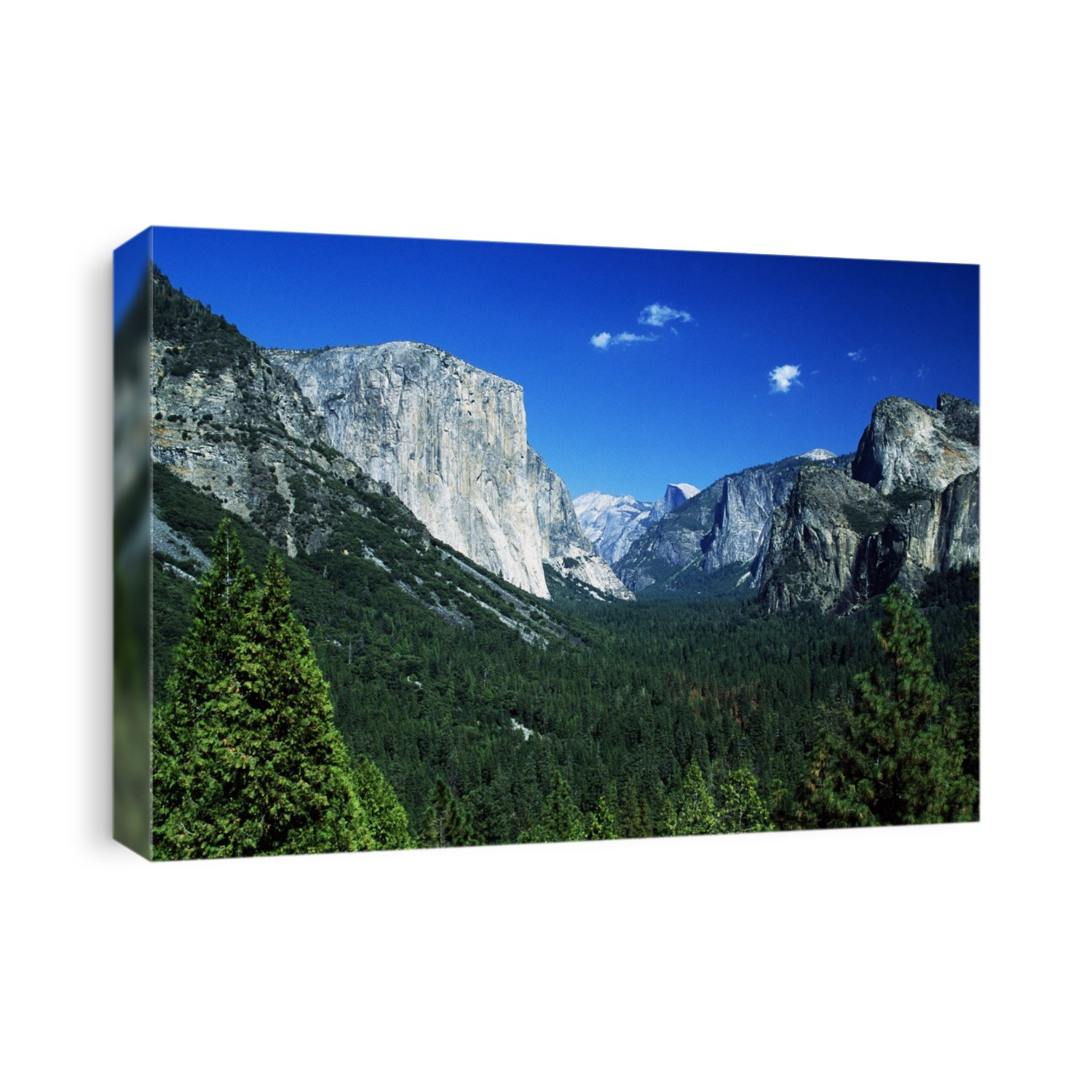 Yosemite National Park, Sierra Nevada, California, Usa; Forest And Mountains