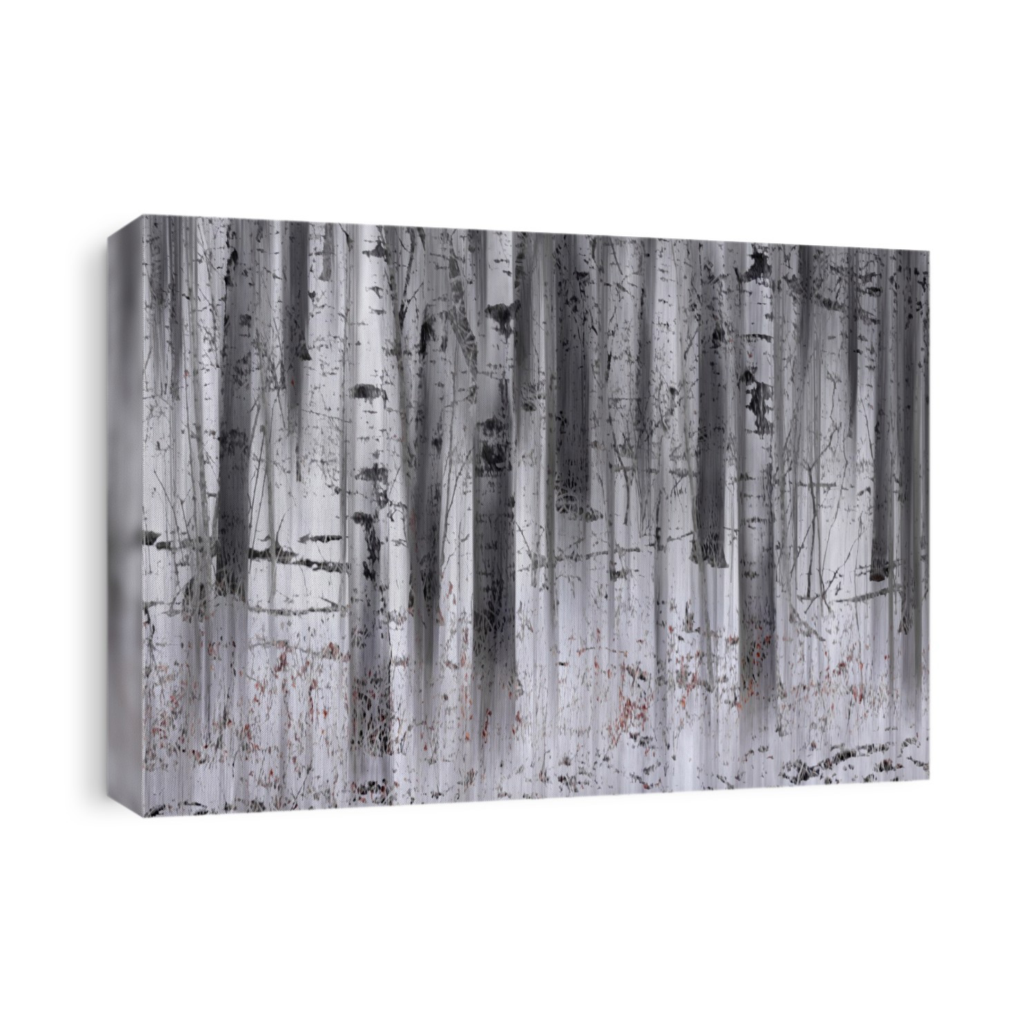 Forest impressionism with white birch tree trunks; Thunder Bay, Ontario, Canada