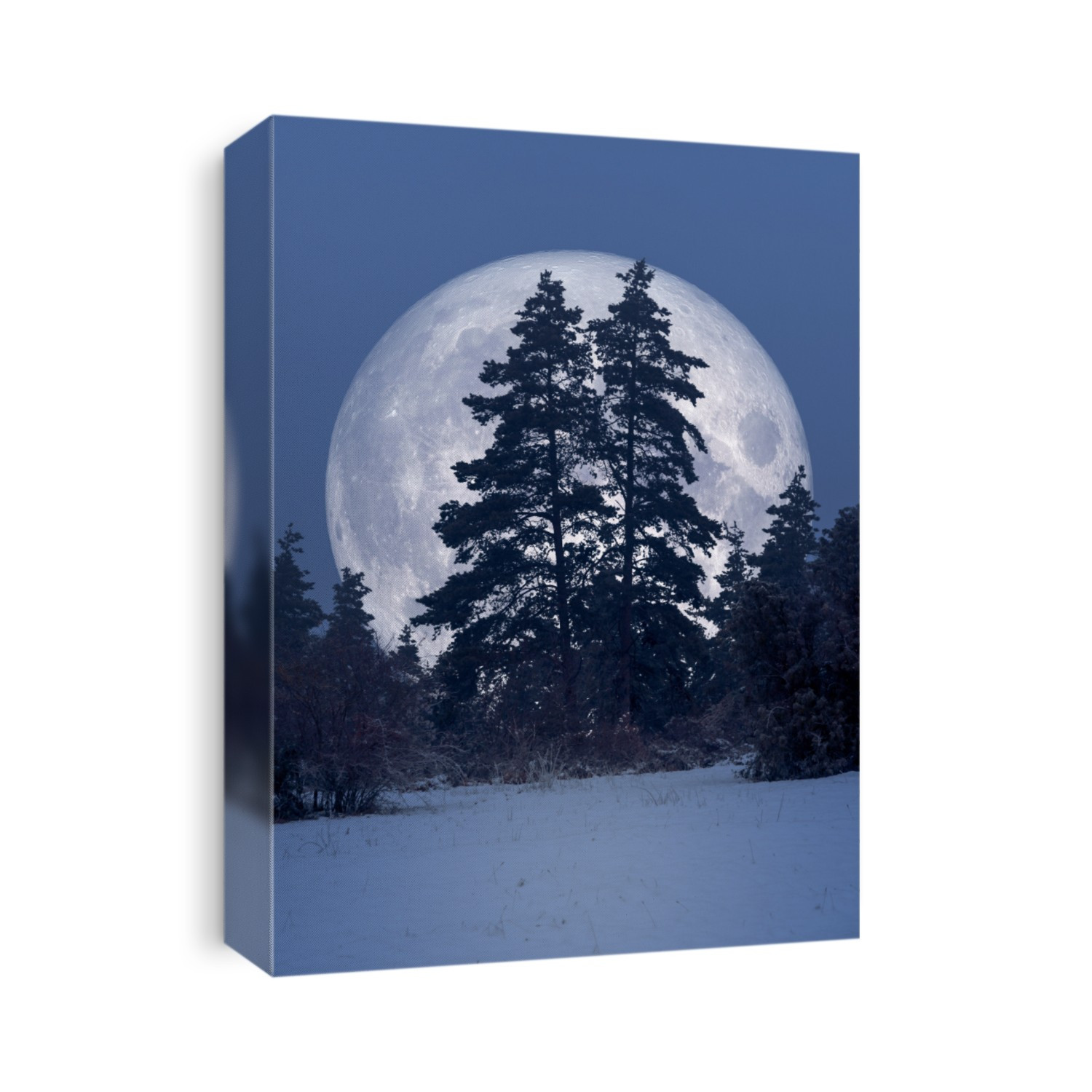 An image of a winter scenery night with full moon