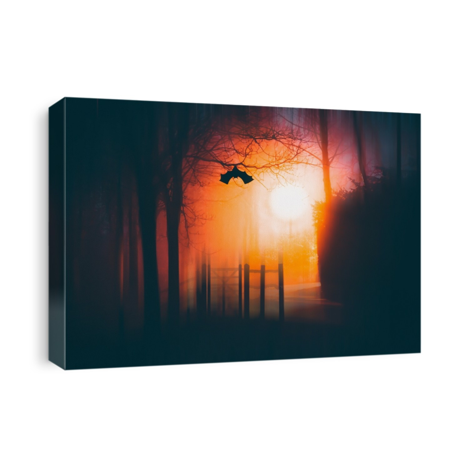 Enchanted forest in magic, mysterious fog at night. Halloween background