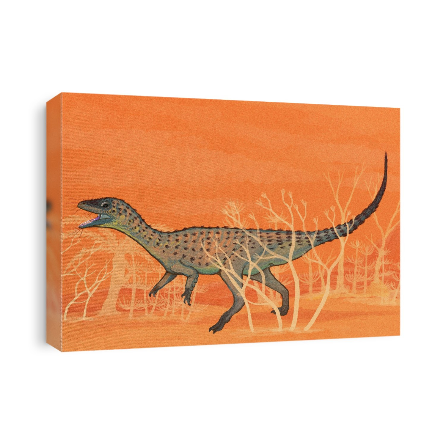 Eoraptor dinosaur. Computer illustration of an Eoraptor sp. dinosaur. This predatory theropod was one of the world's earliest dinosaurs. It lived around 231 million years ago, during the late Triassic period in what is now northwestern Argentina.