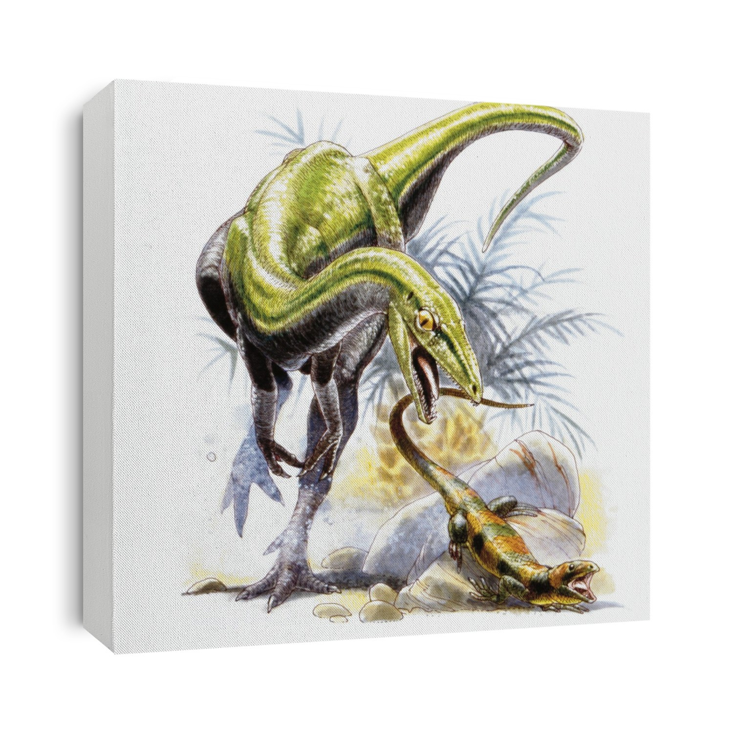 Compsognathus dinosaur. Computer illustration of a Compsognathus sp. dinosaur hunting a small lizard. This carnivorous bipedal theropod was about the size of a chicken and lived during the late Jurassic period (between 155 and 145 million years ago), in what is now Germany and France.