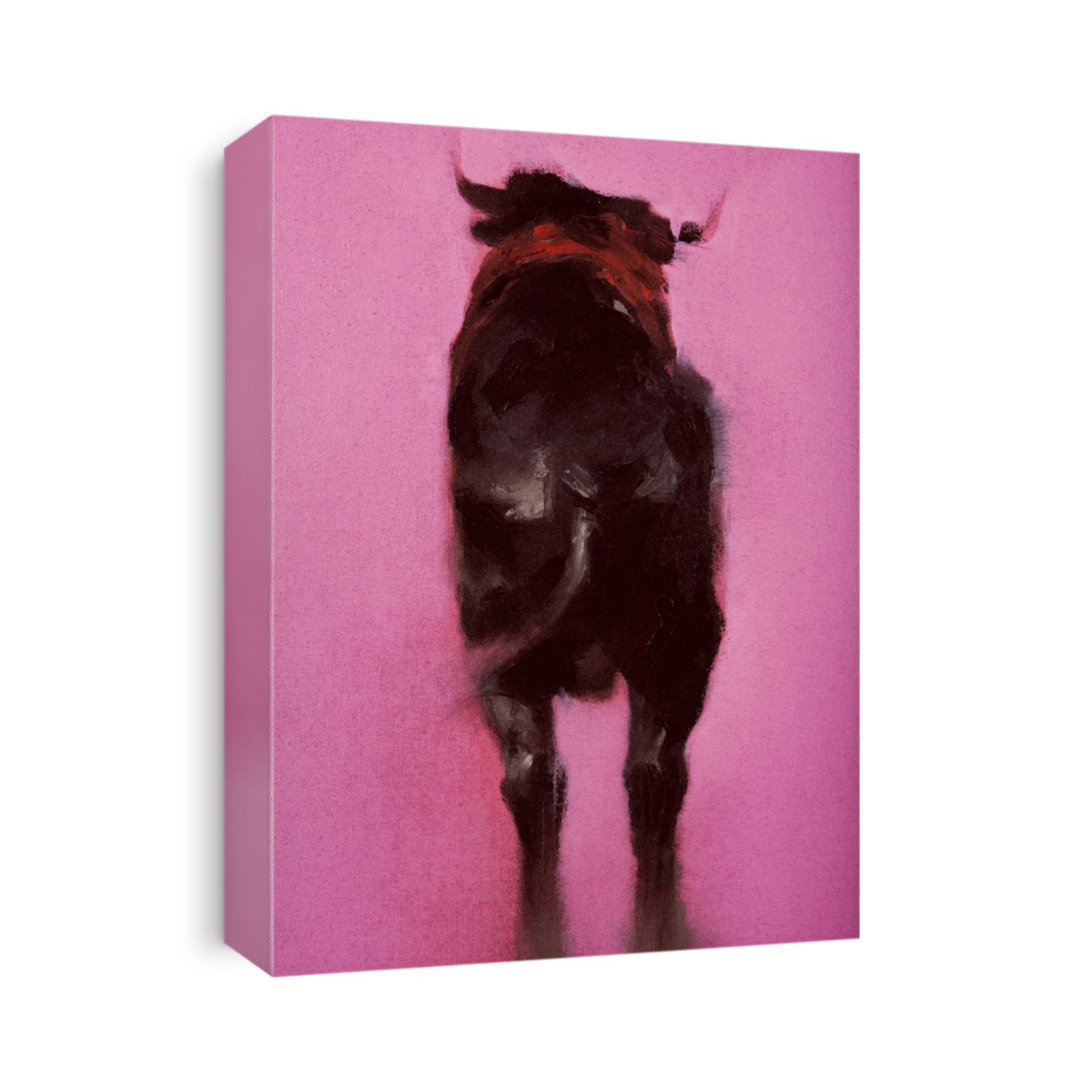 taureau; arene; tauromachie; Camargue; rose;