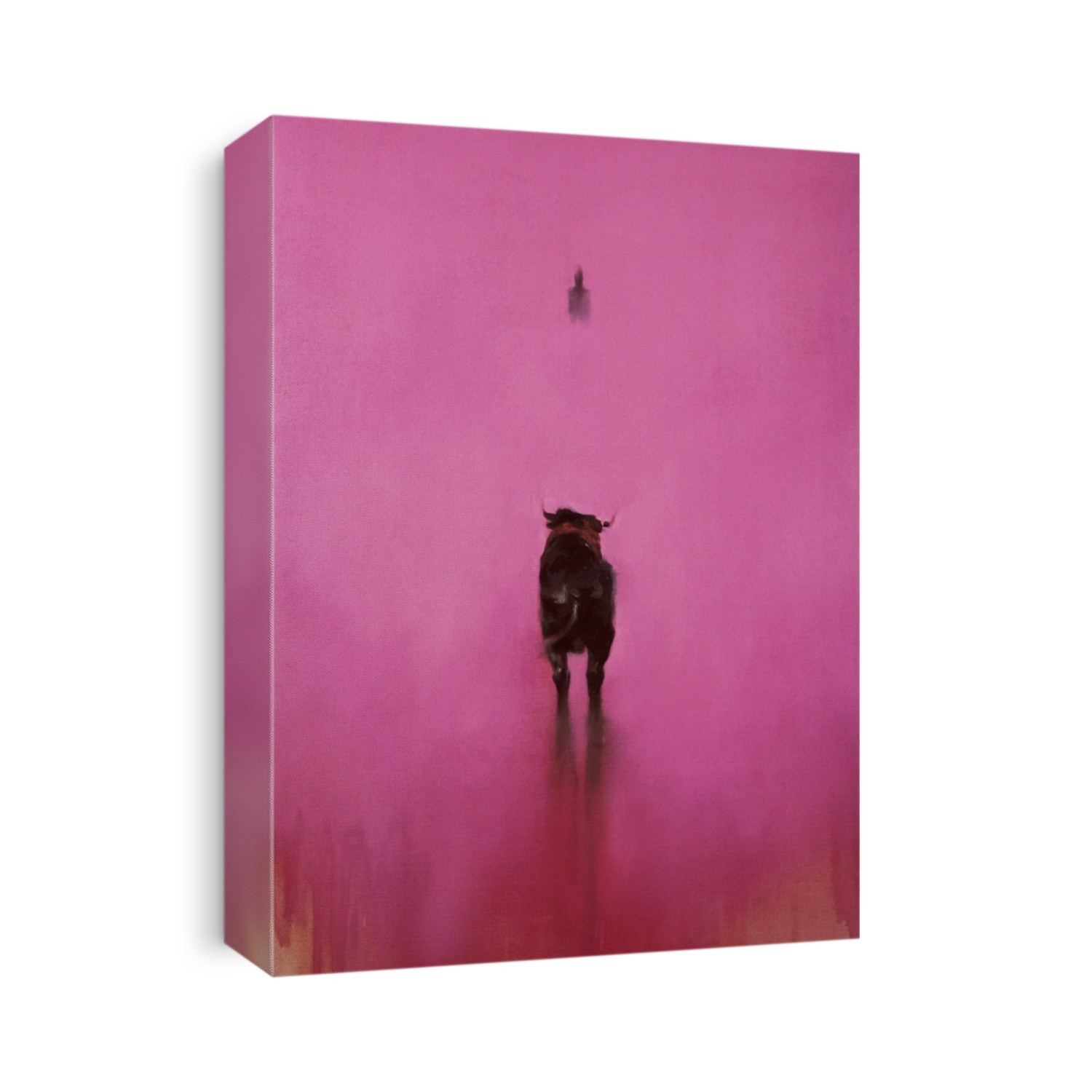 taureau; arene; tauromachie; Camargue; rose;