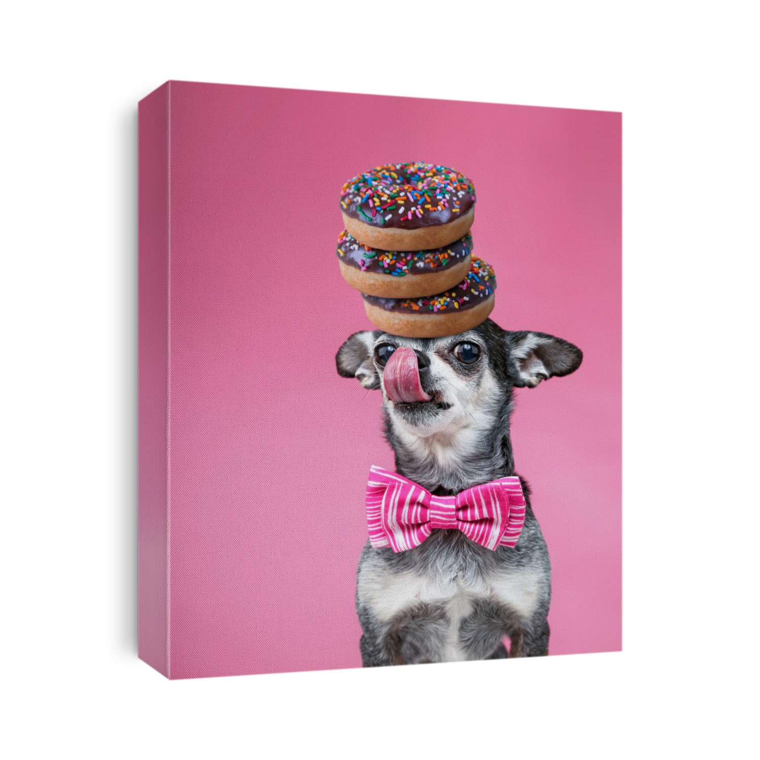 cute chihuahua wearing a bow tie balancing chocolate sprinkle donuts on his head isolated on a pink background 