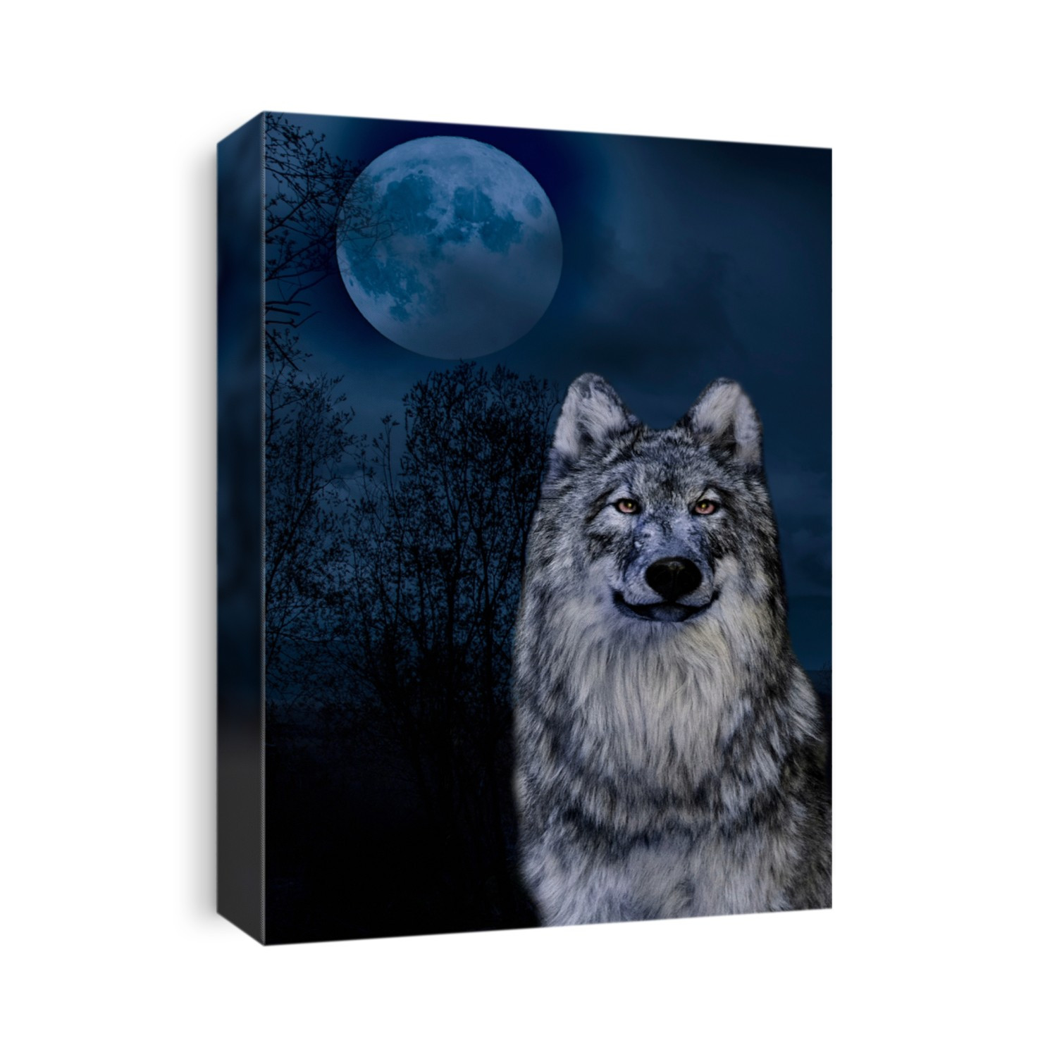 Wolf and  the moon at midnigt