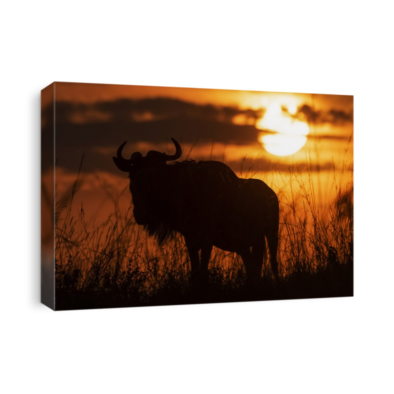 Silhouette of blue wildebeest (Connochaetes taurinus) against sunset sky, Cottar's 1920s Safari Camp, Maasai Mara National Reserve; Kenya