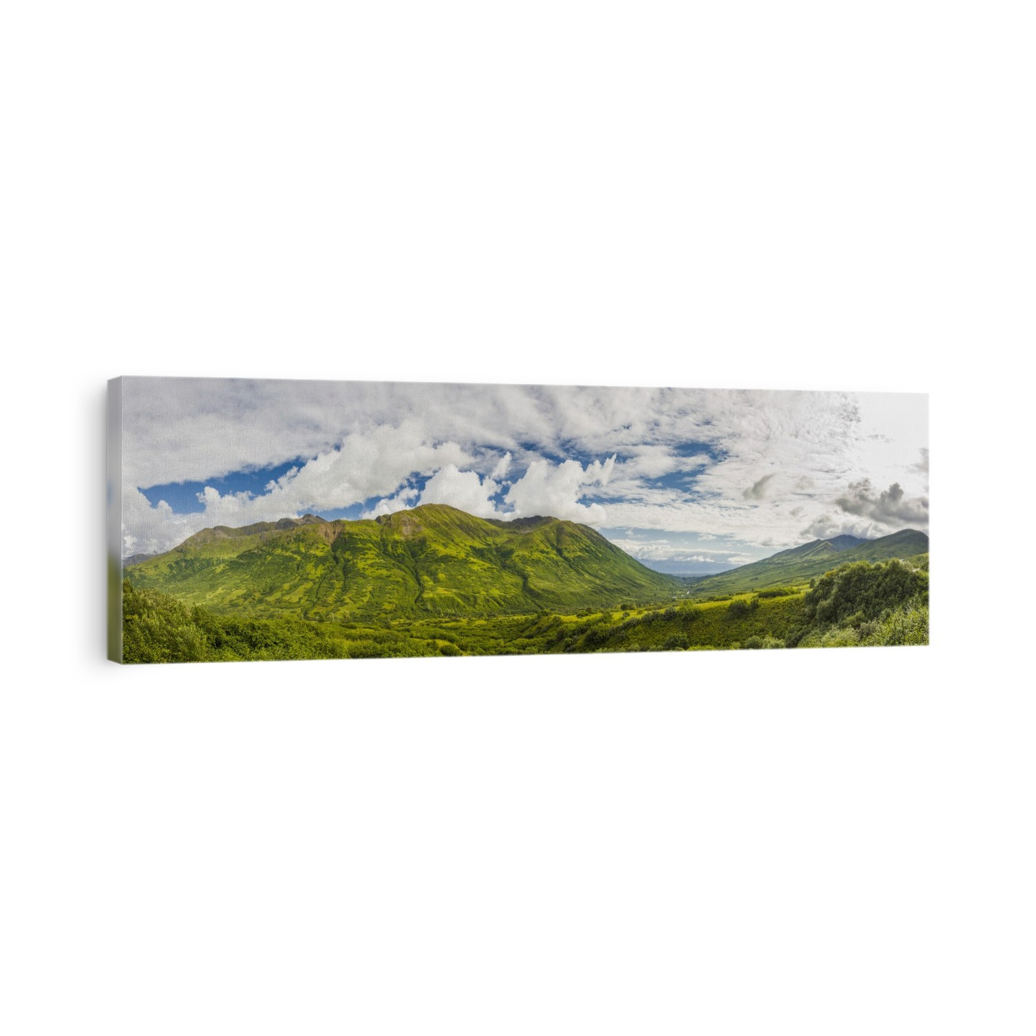 Panorama of the Little Susitna Valley, Palmer in the background, bright clouds in the sky, Hatcher Pass, South-central Alaska; Palmer, Alaska, United States of America