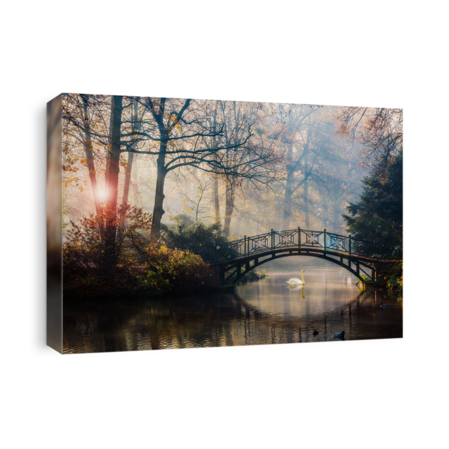 Scenic view of misty autumn landscape with beautiful old bridge with swan on pond in the garden with red maple foliage.