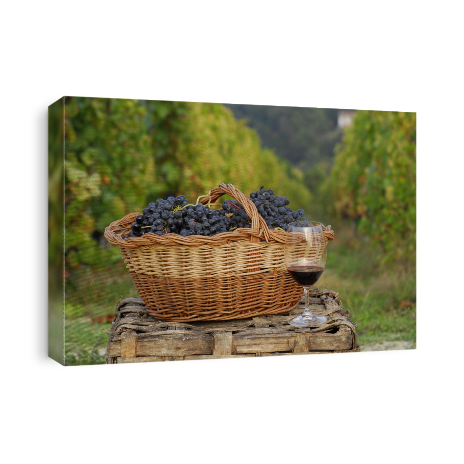 Bunch of grapes cest and red wine glass on vineyard ambient.