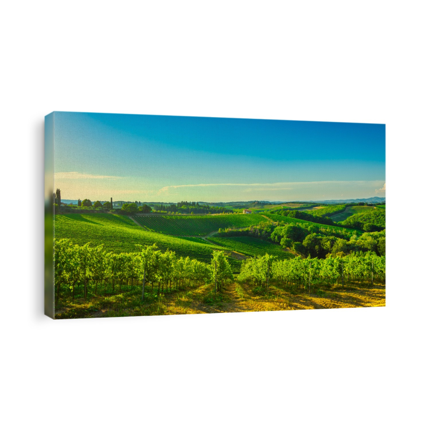 Panoramic view of countryside chianti and vernaccia vineyards. San Gimignano at sunset. Tuscany, Italy, Europe.