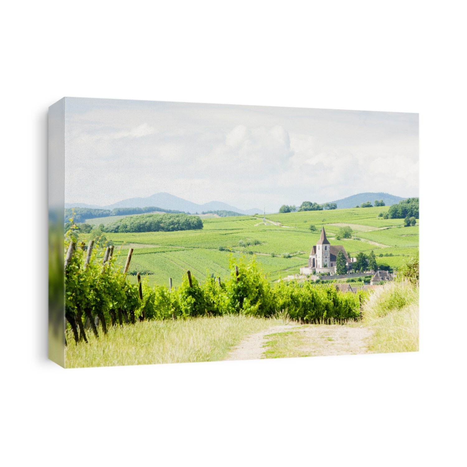 Hunawihr with vineyards, Alsace, France