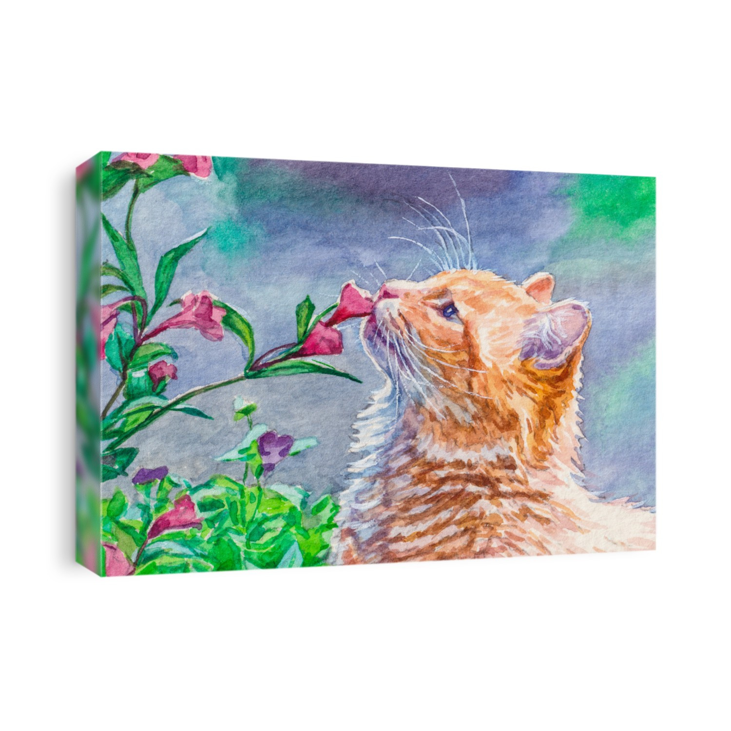 Cute kitten in the garden. Red cat sniffing pink flowers. Watercolor painting