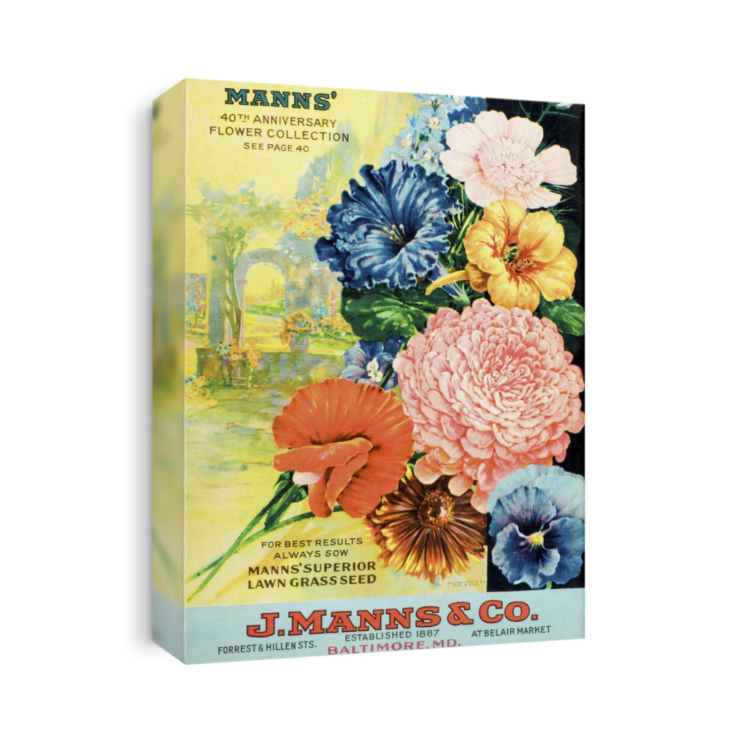 J. Mann's Seed Catalog With Illustration Of Flowers From 20th Century.