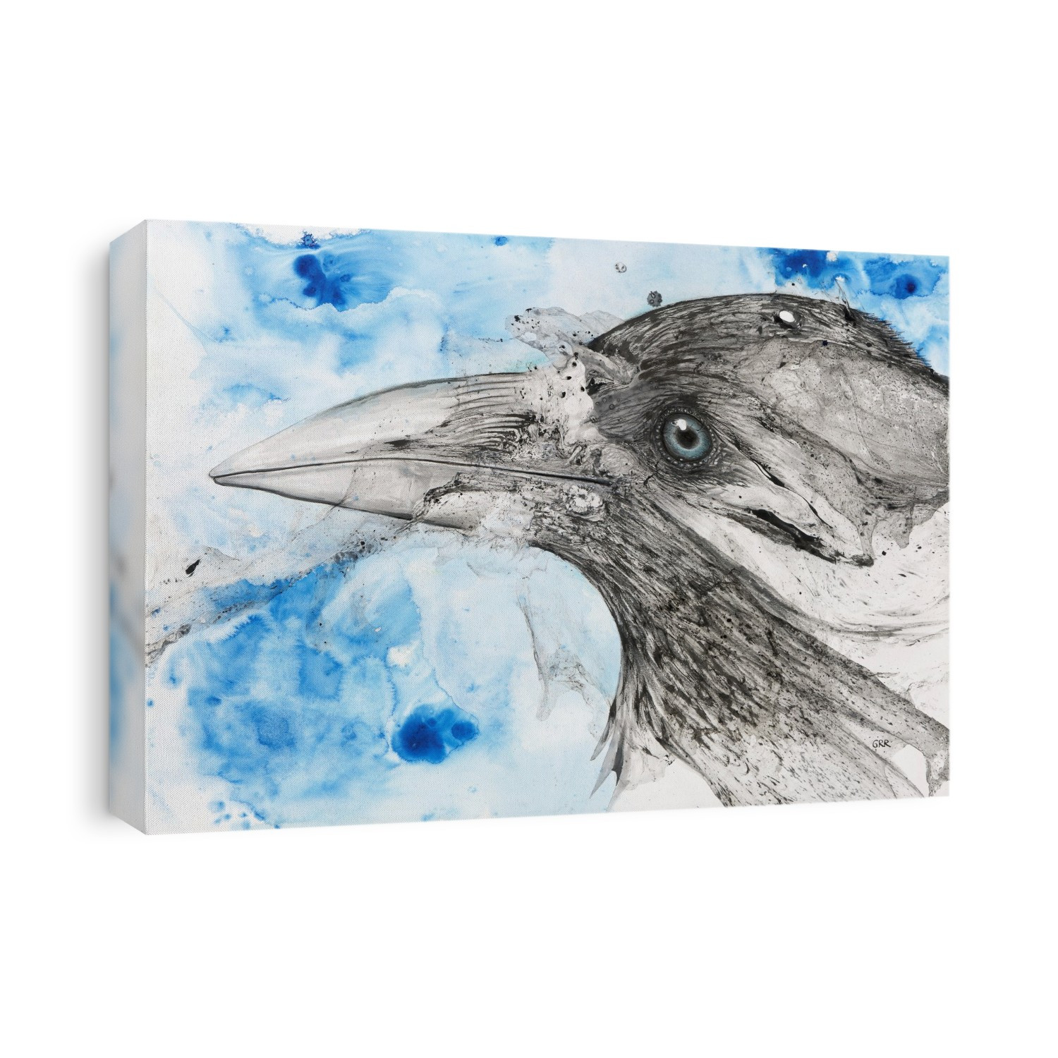 Illustration Of A Bird's Eye And Beak With Mottled Blue And White Background