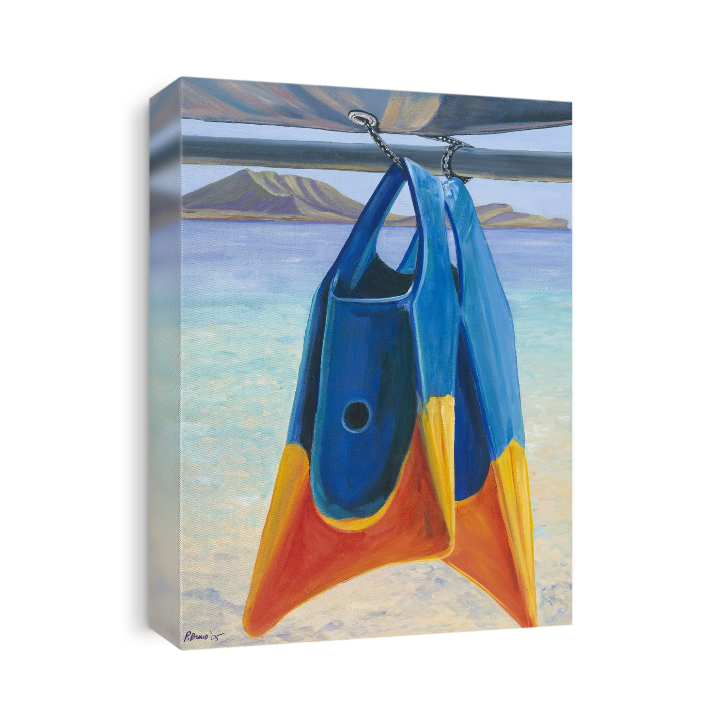 Fins, Colorful Swim Fins Hanging From Sailboat Tie (Acrylic Painting).