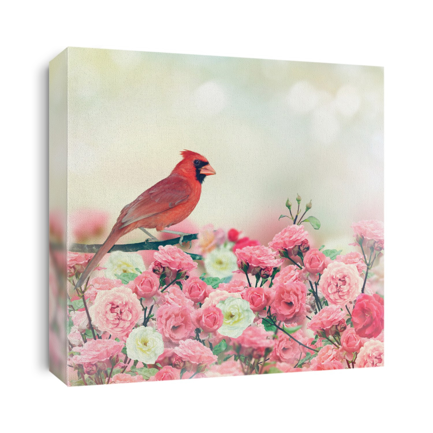 Red Cardinal Bird Perches In Rose Garden