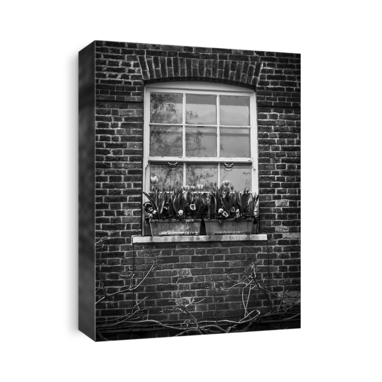 Two Planters Hold Blooming Flowers On A Windowsill; London, England
