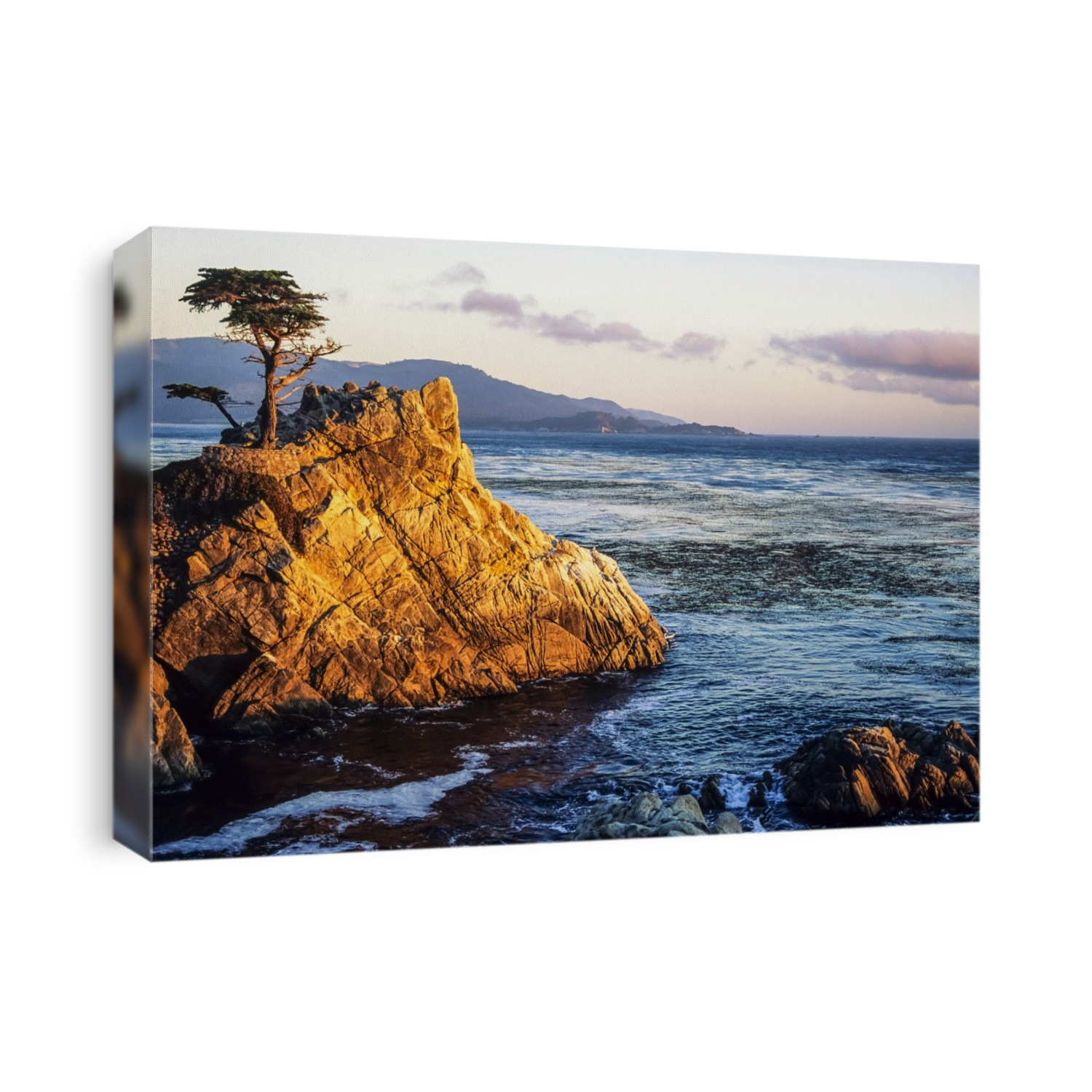 California, Big Sur Coast, Pebble Beach, Evening Light On Lone Cypress Tree And Rugged Rock.