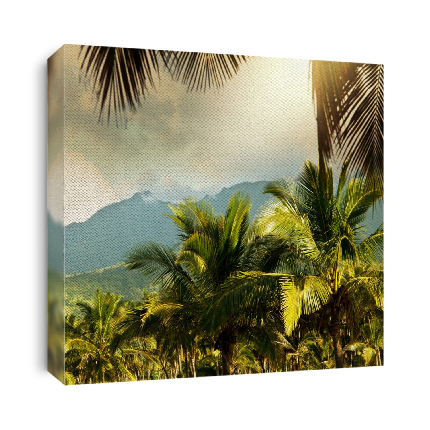 Hawaiian landscapes