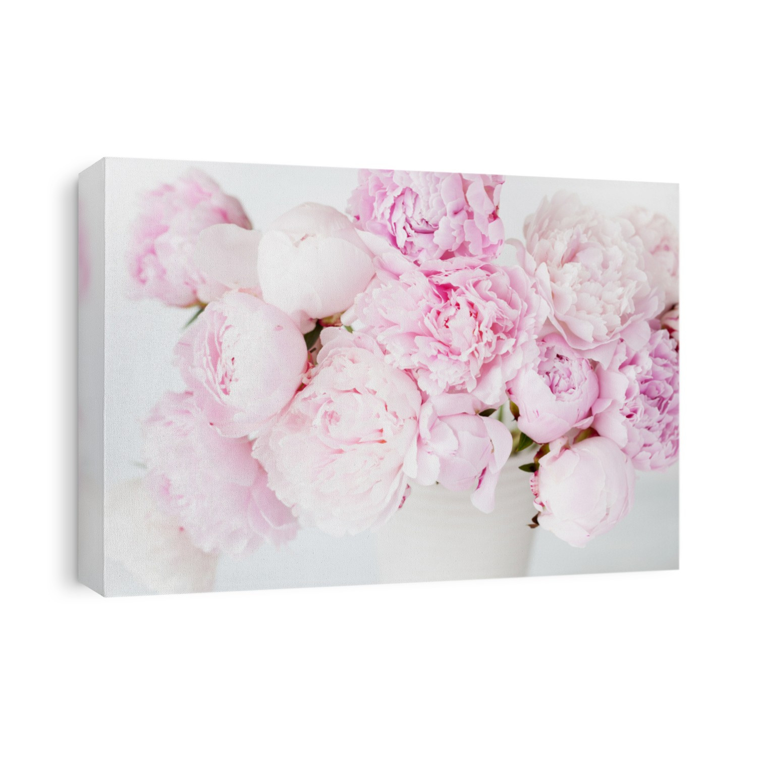 beautiful pink peony flowers bouquet in vase