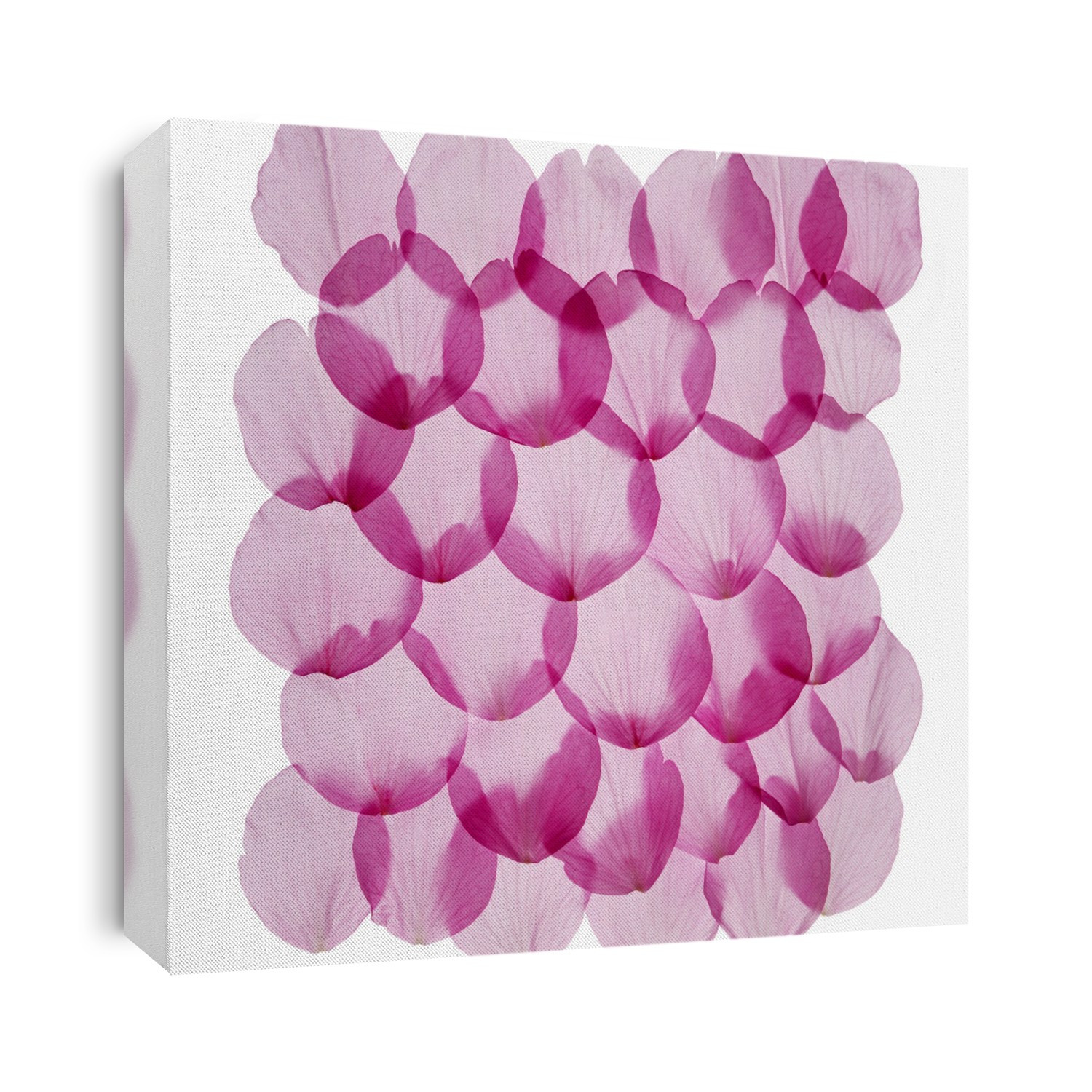 Flower petals.