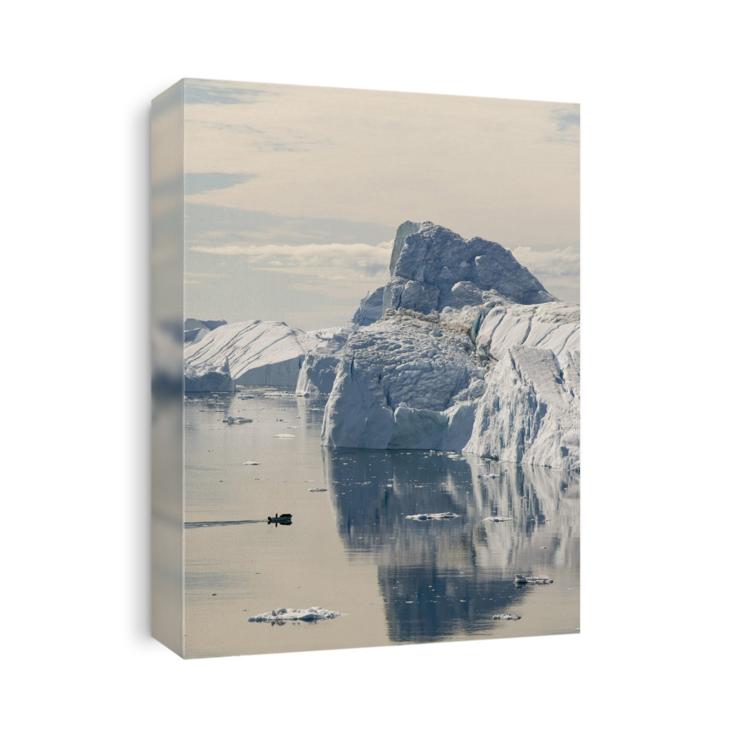An Inuit fishing boat sails through Icebergs from the Jakobshavn glacier or Sermeq Kujalleq drains 7% of the Greenland ice sheet and is the largest glacier outside of Antarctica. It calves enough ice in one day to supply New York with water for one year. It is one of the fastest moving glaciers in the world at up to 40 metres per day (19 metres per day before 2002) and has also receded rapidly (40 km since 1850) due to human induced climate change as temperatures have risen in Greenland by 9 degrees Fahrenheit in the last 60 years. An underwater moraine at the mouth of the fjord grounds the largest icebergs causing a backlog of ice completely blocking the entire length of the fjord with ice.