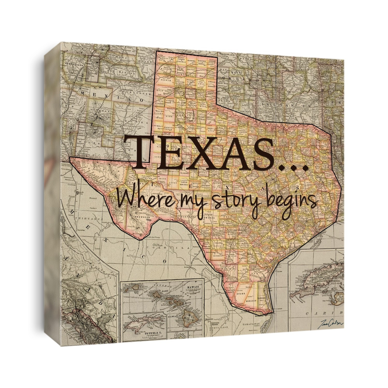 Texas My Story