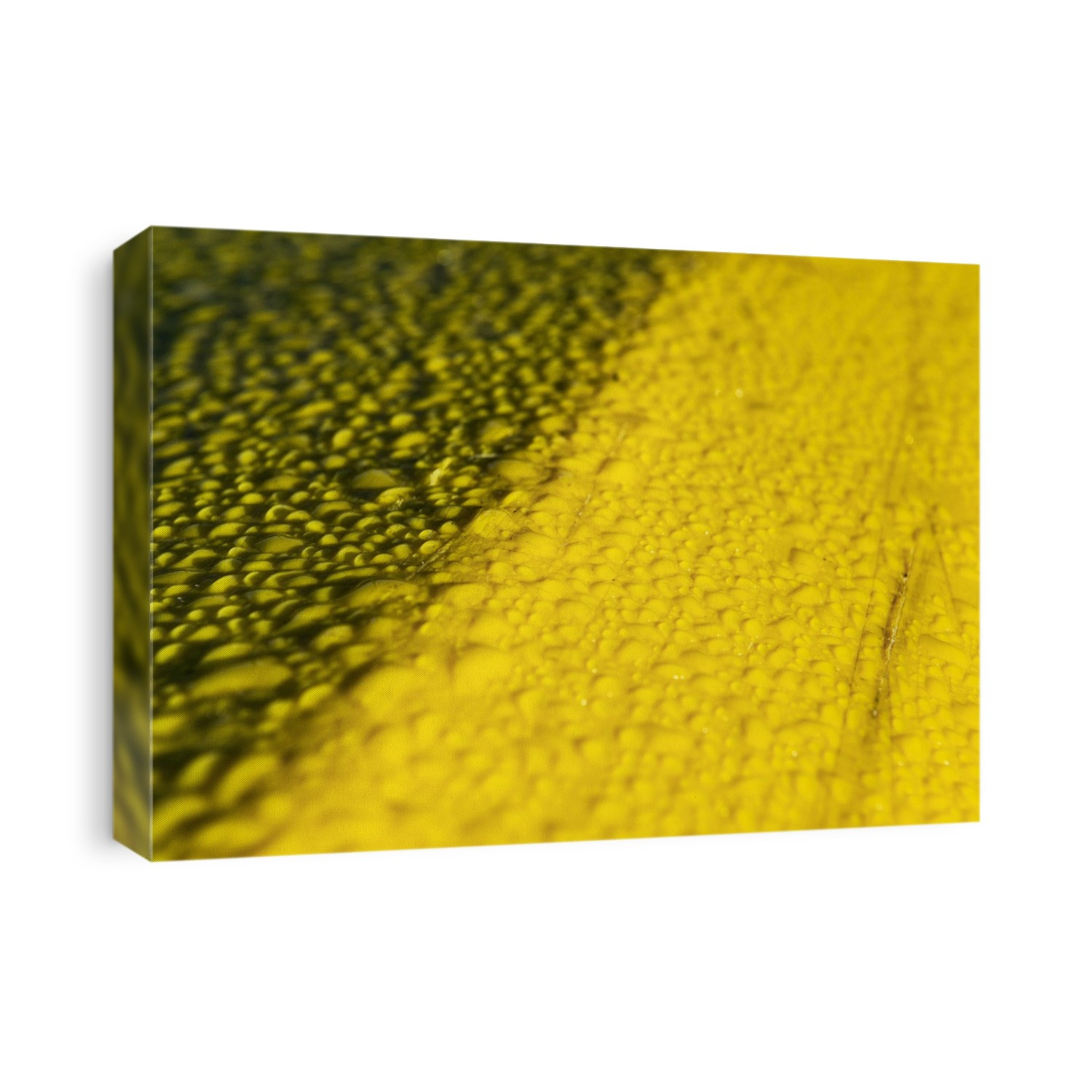 Water on plastic. Close-up of water beading up on a yellow plastic surface.