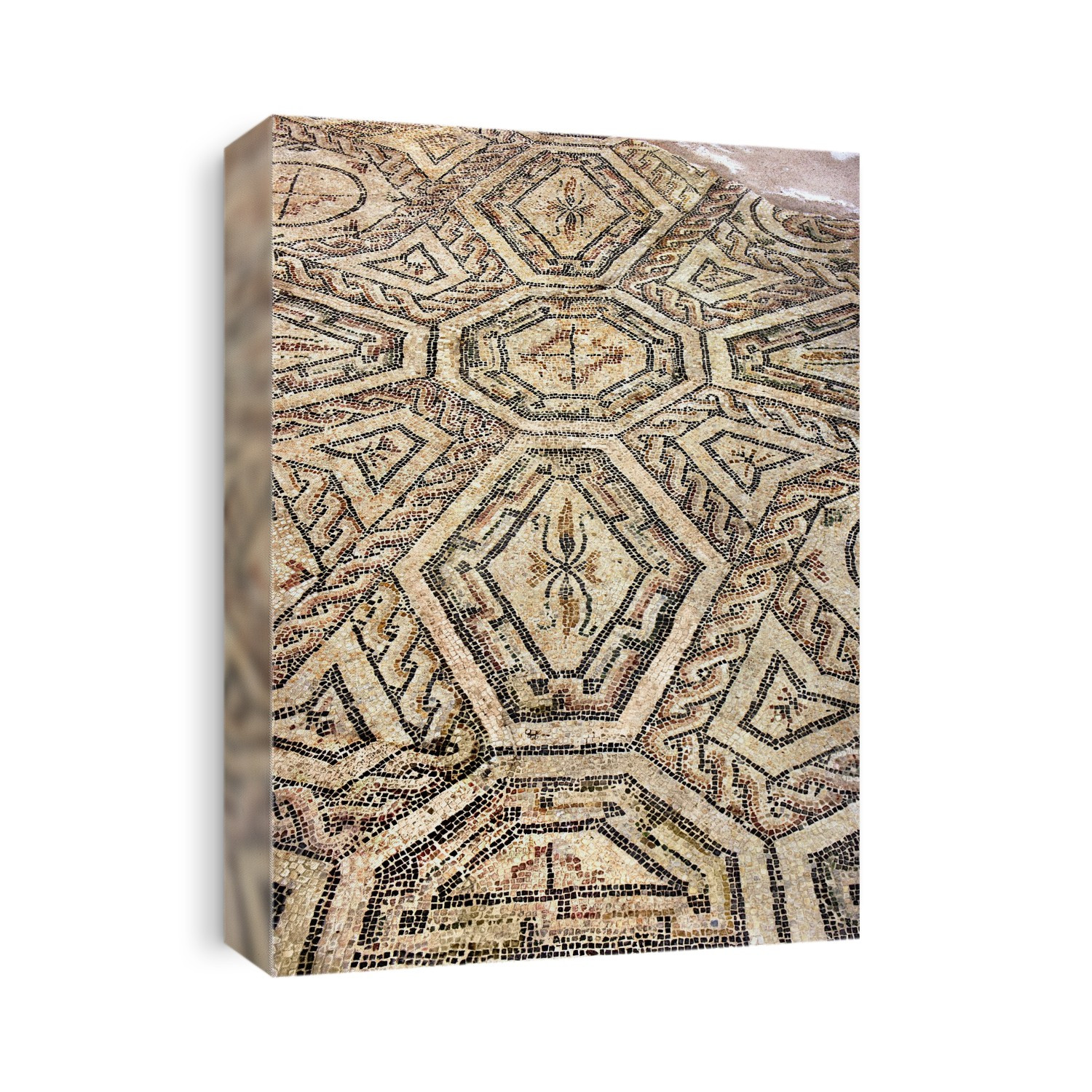 Section from one of the sequence of geometric mosaics that are a feature of the Villa Romana, Desenzano, Italy. The polychromic patterns are of great complexity and variety. They are characteristic of the Roman art of late antiquity and date from either the late 4th or early 5th century CE.