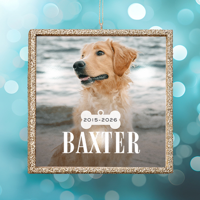 TwinkleBright® LED Pet Photo Ornament