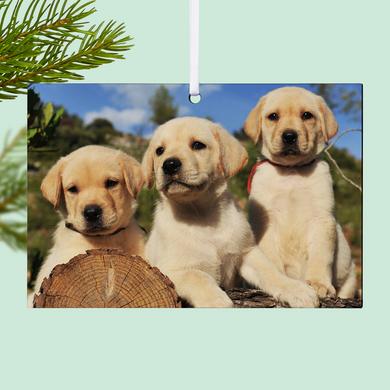 Pet Photo Rectangle Ornament