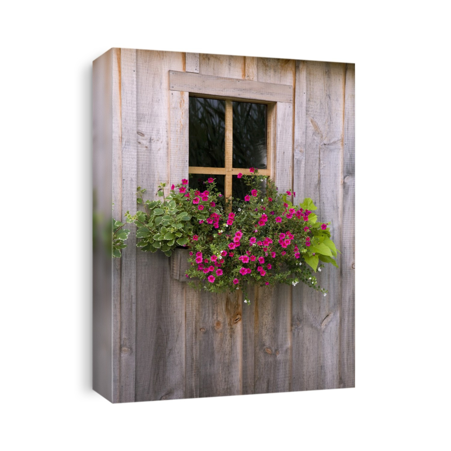Wooden Shed With A Flower Box Under The Window; Flesherton, Ontario, Canada