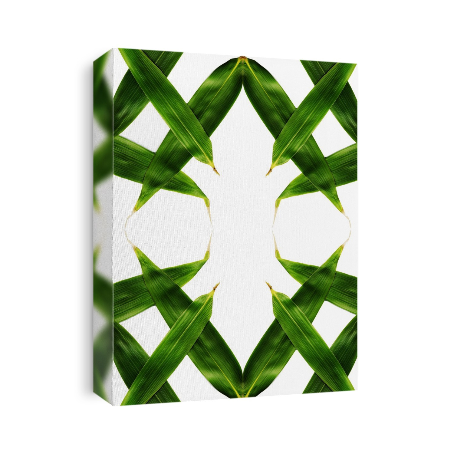 Plant leaves, abstract image.